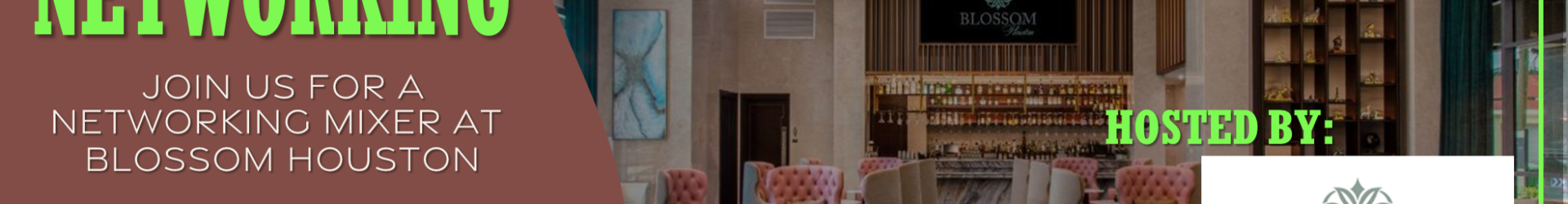 EISI NETWORKING – Blossom Hotel Houston